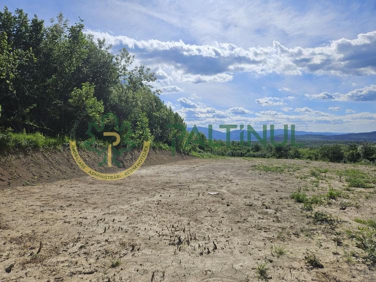 Teren agricol extravilan de 3000 mp, în Exterior Vest