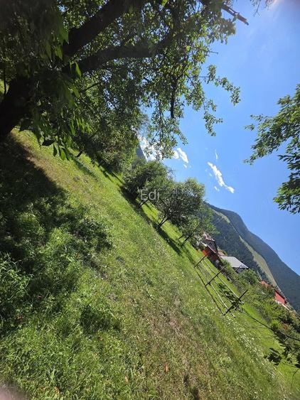 Teren 1350mp - Borca - poaiana Sabasei -Intravilan