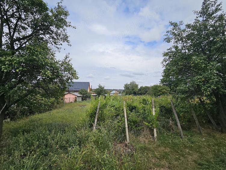 Casă cu Teren 2800 Mp în Bolotești