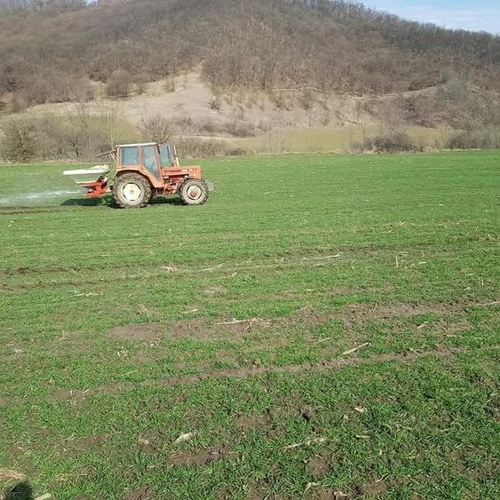 Teren de 51200 mp, în Viișoara