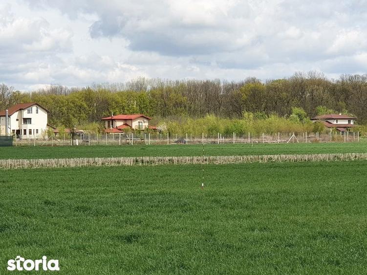 Teren de 800 mp, în Balotești