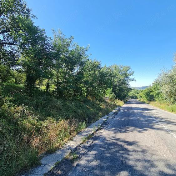 Teren de 7500 mp, în Prosia