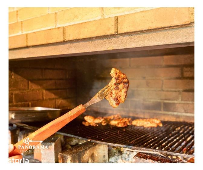 Casă cu Teren 29337 Mp în Râu Sadului
