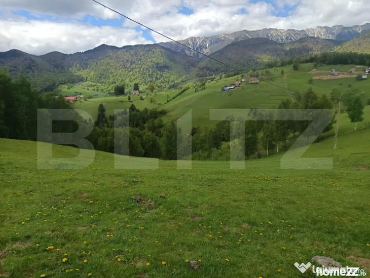 Casă cu 2 camere cu Teren 4807 Mp în Peștera