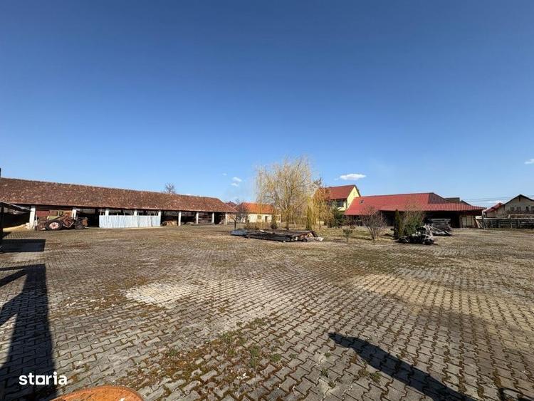 Spațiu comercial, în Ocna Șugatag