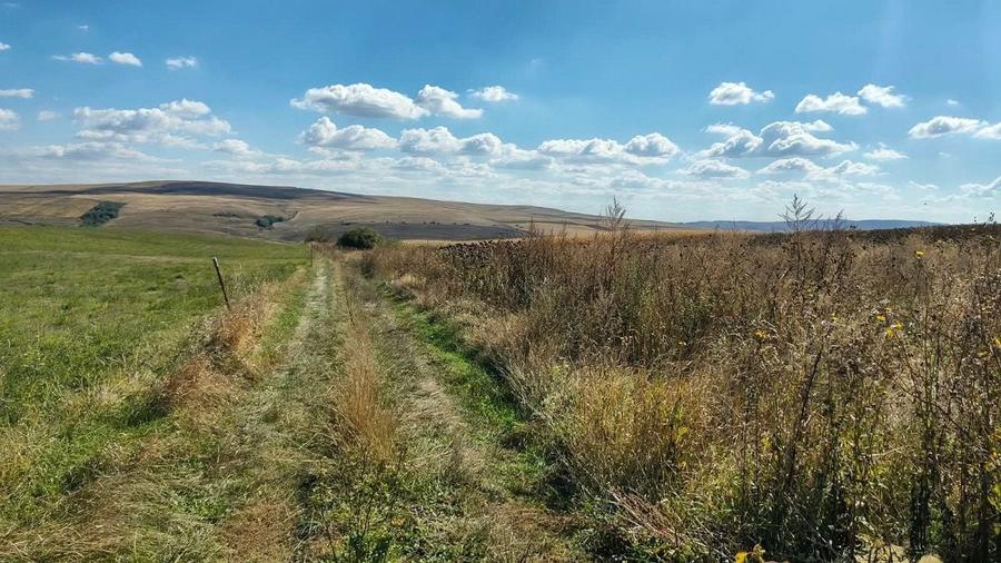 Teren Construcții intravilan de 1500 mp, în Rediu