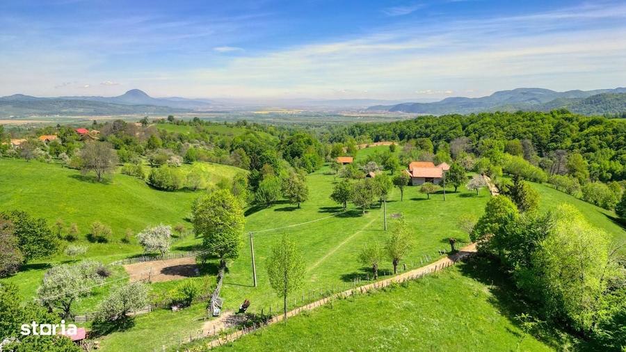 Spațiu comercial, în Bran