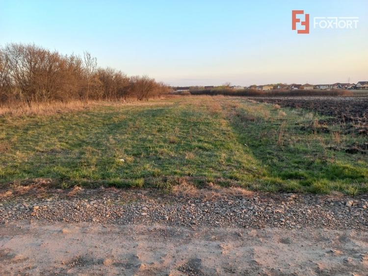 Teren Construcții extravilan de 7826 mp, în Ghiroda