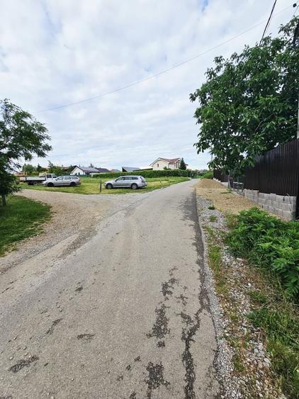 Teren Construcții intravilan de 780 mp, în Săldăbagiu de Munte