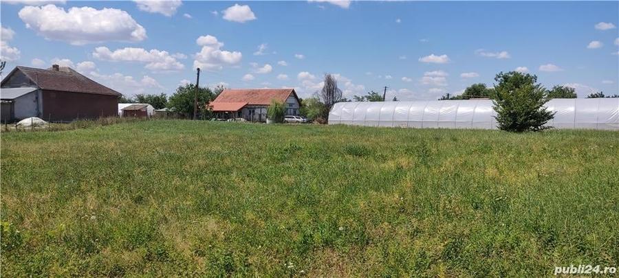 Teren de 1600 mp, în Moroda