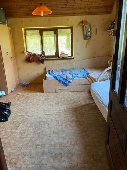 Casă cu 5 camere cu Teren 3438 Mp în Avram Iancu (Vârfurile)