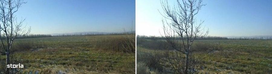 Teren de 5800 mp, în Central