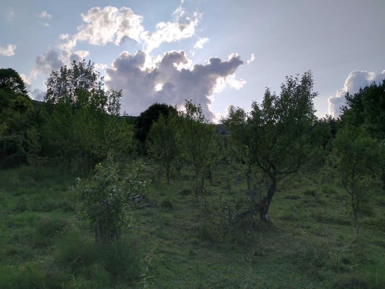 Vand pamant Moroeni - 2