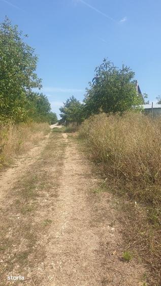 Teren de 2674 mp, în Băile Felix