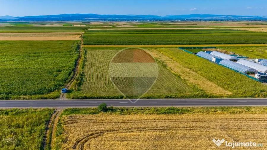COMISION 0% | Teren intravilan 7.500 mp | Tarlungeni, Brasov - Tarlungeni (Brasov) - 4