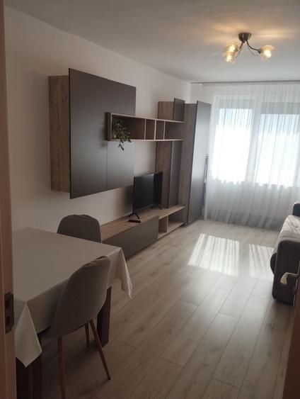 Apartament 2 camere Burdea - 4
