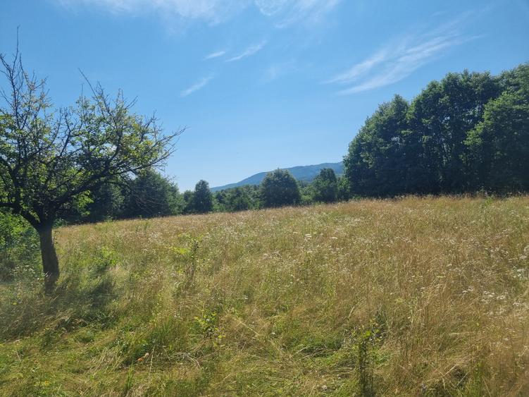 Teren agricol extravilan de 3250 mp, în Dejani