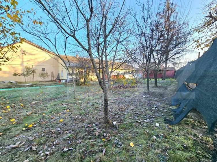 Teren Construcții intravilan de 708 mp, în Bogdăneștilor
