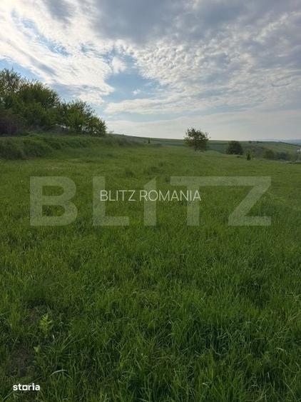 Teren Intravilan, 20 ari, Moara, Bulai