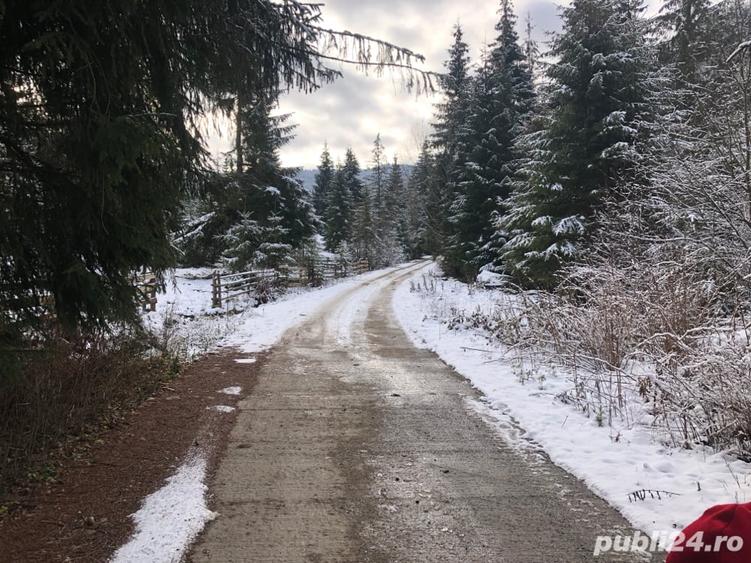 Teren de 6000 mp, în Panaci