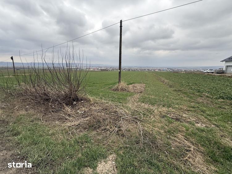 Teren de 3255 mp, în Grănicești