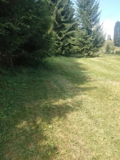 Teren de 2900 mp, în Panaci