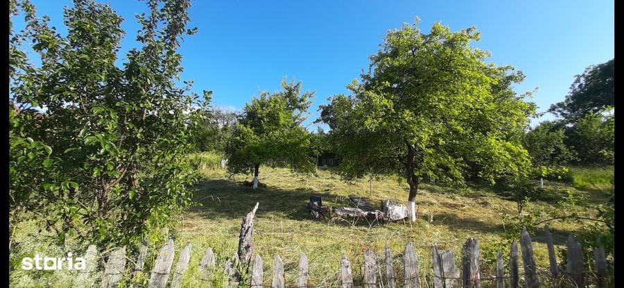 Teren, 410 m2, - 5