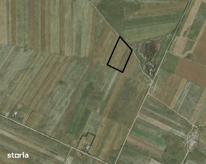 teren pentru ferma - 1