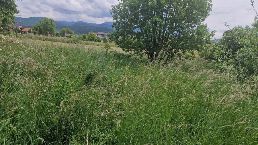 Teren intravilan de 1073 mp, în Cristian
