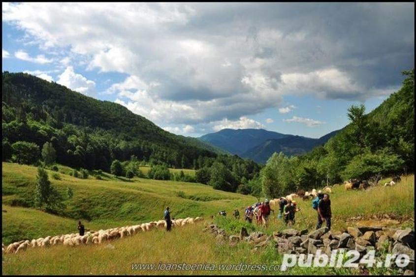 Teren de 4500 mp, în Sud