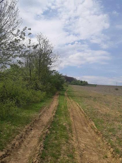 Teren în Aghireș