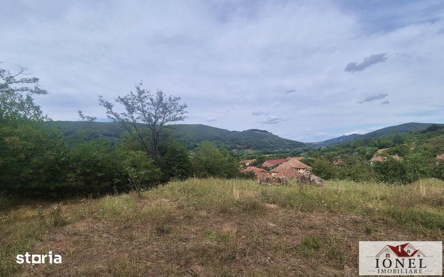 Casă cu 3 camere cu Teren 6296 Mp în Meteș