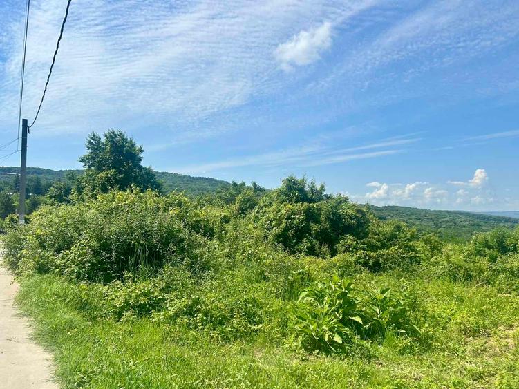 Teren Construcții intravilan de 2779 mp, în Bucium