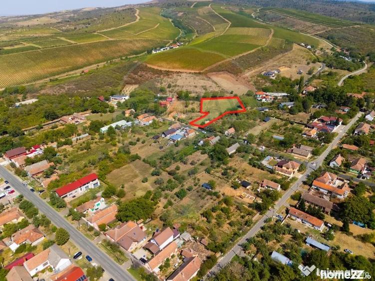 Teren de 4184 mp, în Miniș