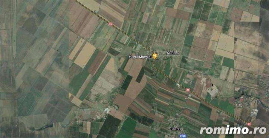 Teren de 400000 mp, în Siliștea