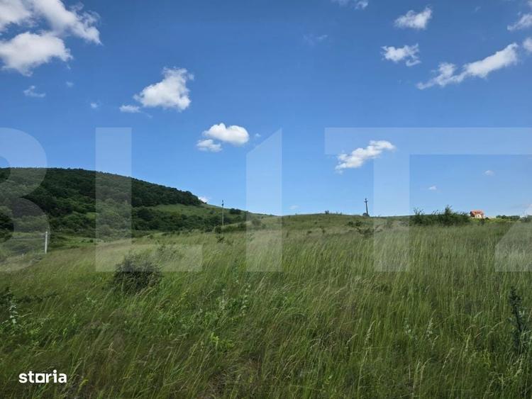 Teren de investitie in localitatea Ciurila - 1