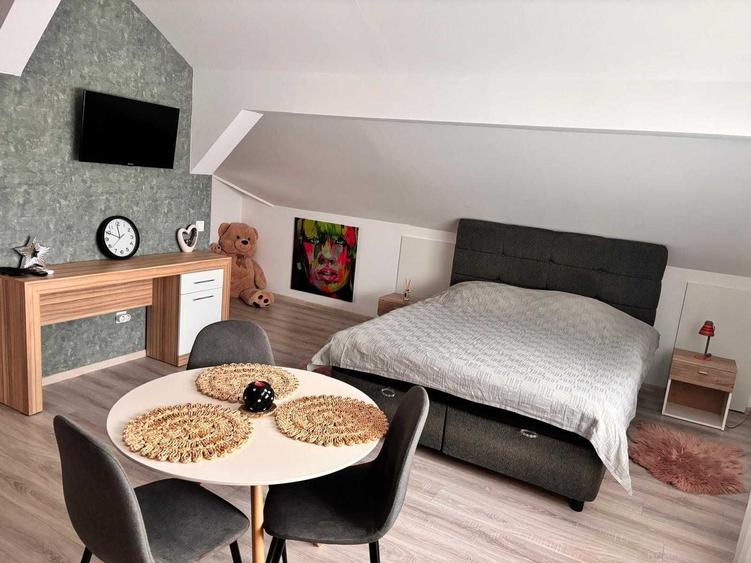 Garsoniera tip studio, Cartierul Arhitectilor Sibiu - 3