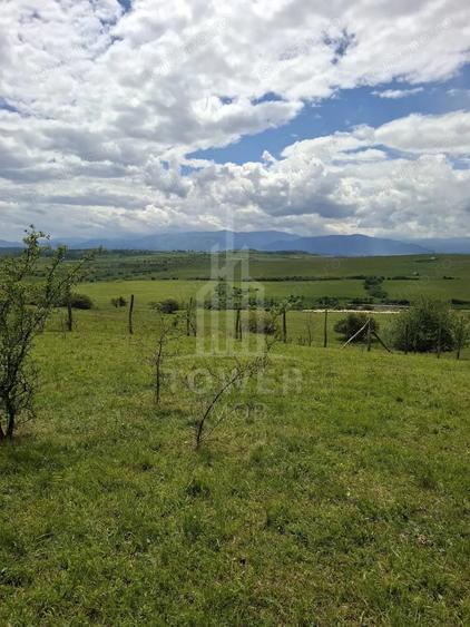Teren de 11500 mp, în Daia