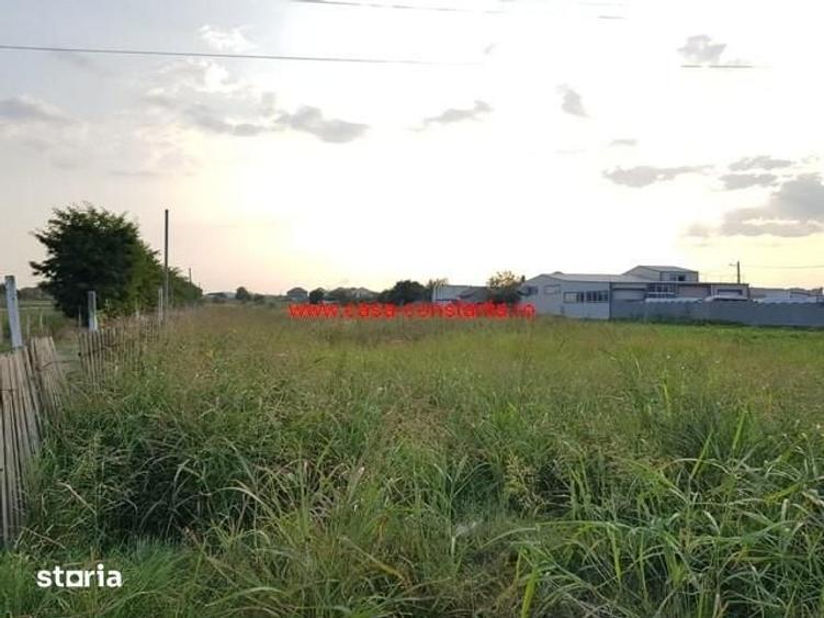 Teren de 5000 mp, în Central