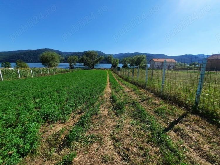 Teren de 2500 mp, în Berzasca