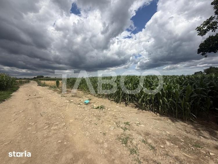 Teren de 3934 mp, în Recea