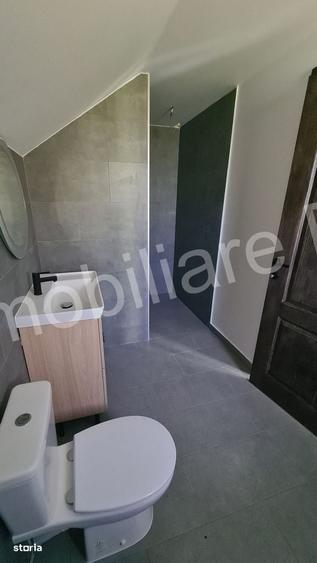 Casă cu 4 camere în Arefu