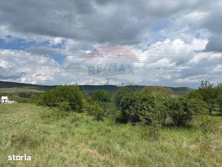 Teren de vanzare 13783mp, front la DN, parcela unica zona de vest - 8