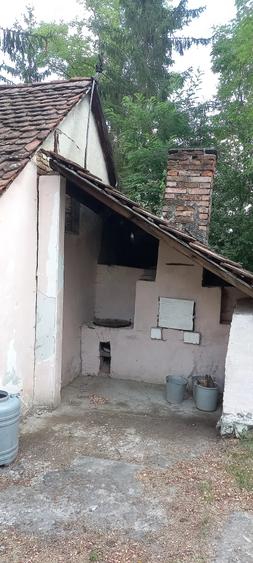 Casă cu 3 camere cu Teren 1600 Mp în Paloș