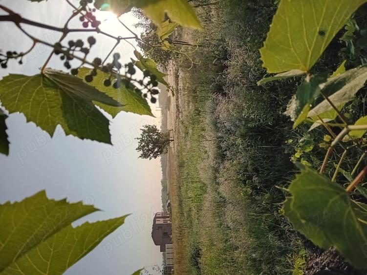Teren de 4200 mp, în Giarmata