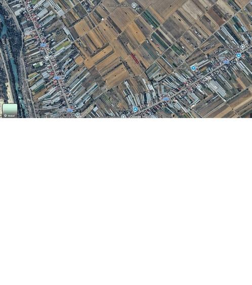 Vand teren intravilan Copaceni (Ilfov)