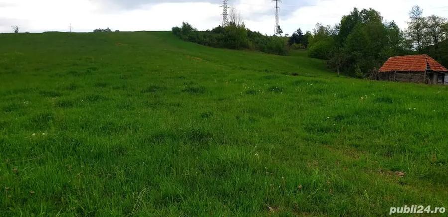 Teren de 5742 mp, în Bratca