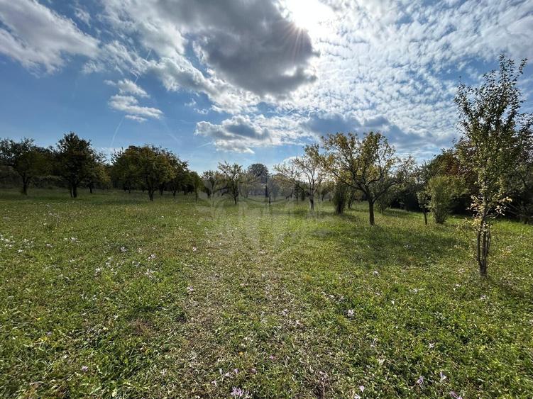 Teren Construcții intravilan de 11000 mp, în Central