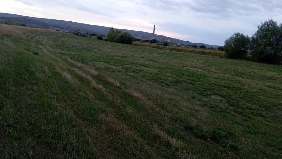 Teren agricol extravilan de 4500 mp, în Holboca