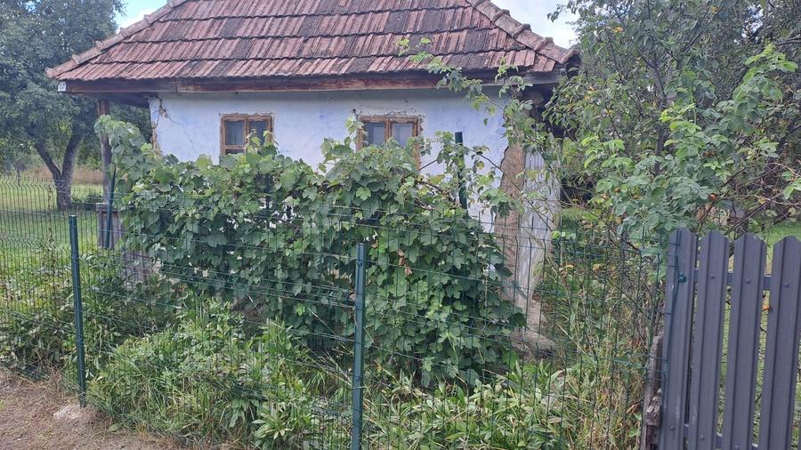 Casă cu 2 camere în Central